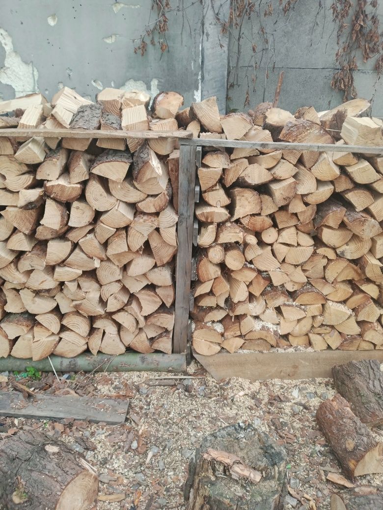 Drzewo na opał lupane sosna