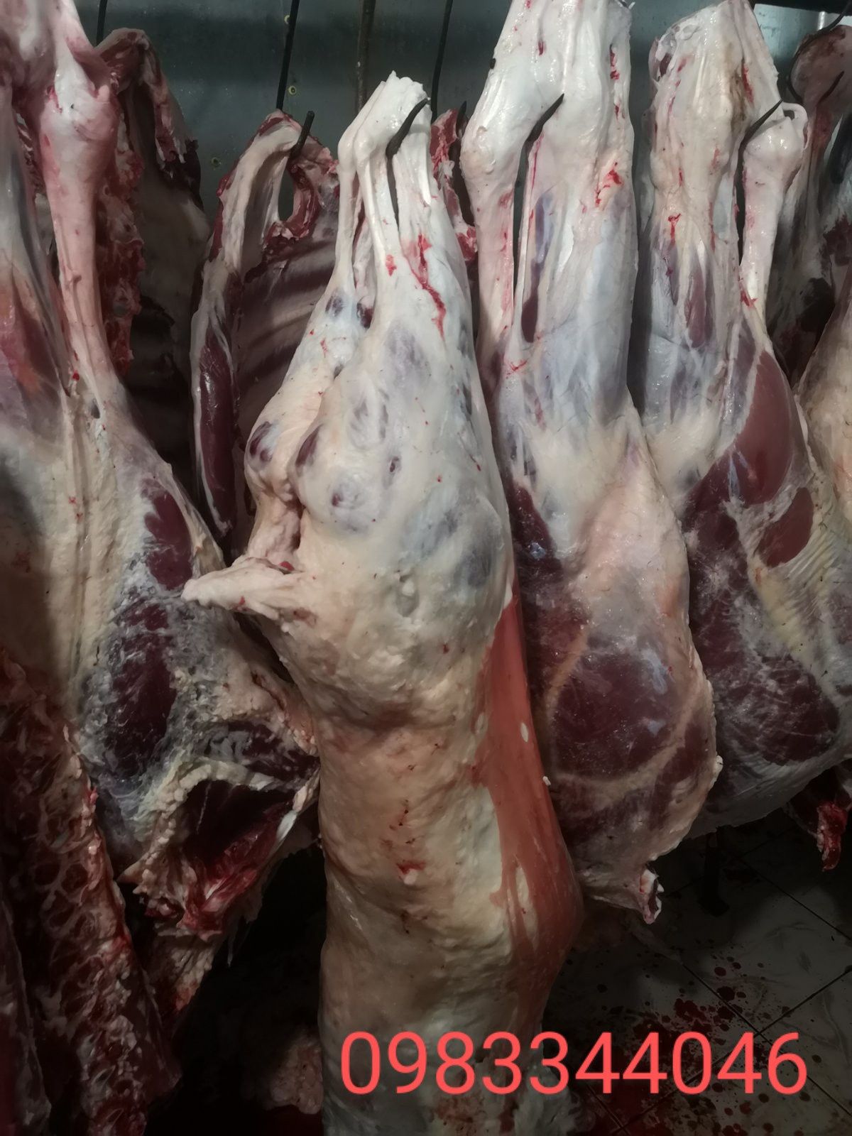 Продам Тушки Яловичина -Баранина