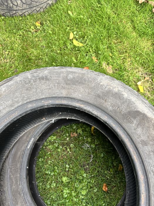 Opony continental ecocontact 3 195/65 R15