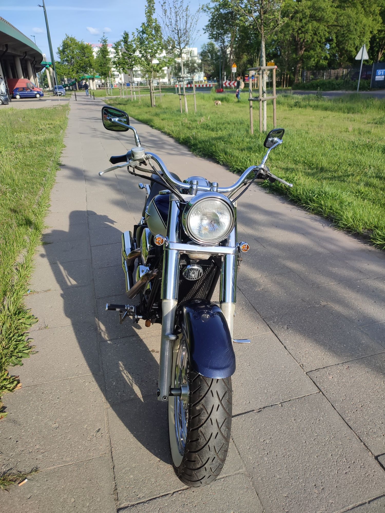 Kawasaki Vn 800 Classic Custom