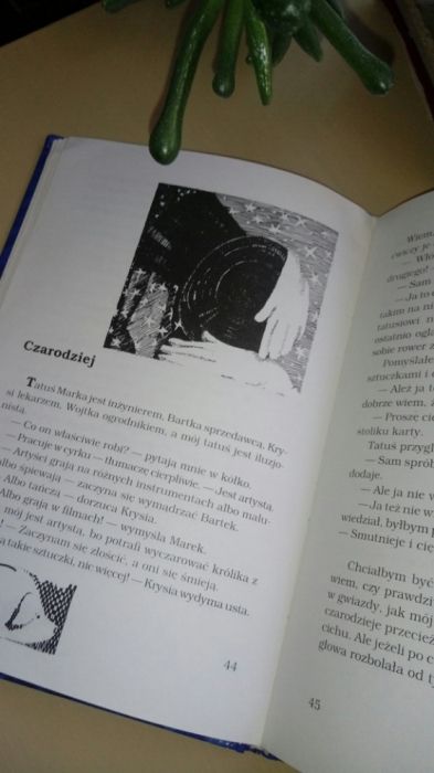 Dobry potwór nie jest zły. Anna Onichimowska