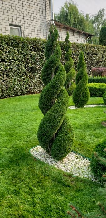 Топіарна стрижка рослин  автоматичний полив стрижка газону