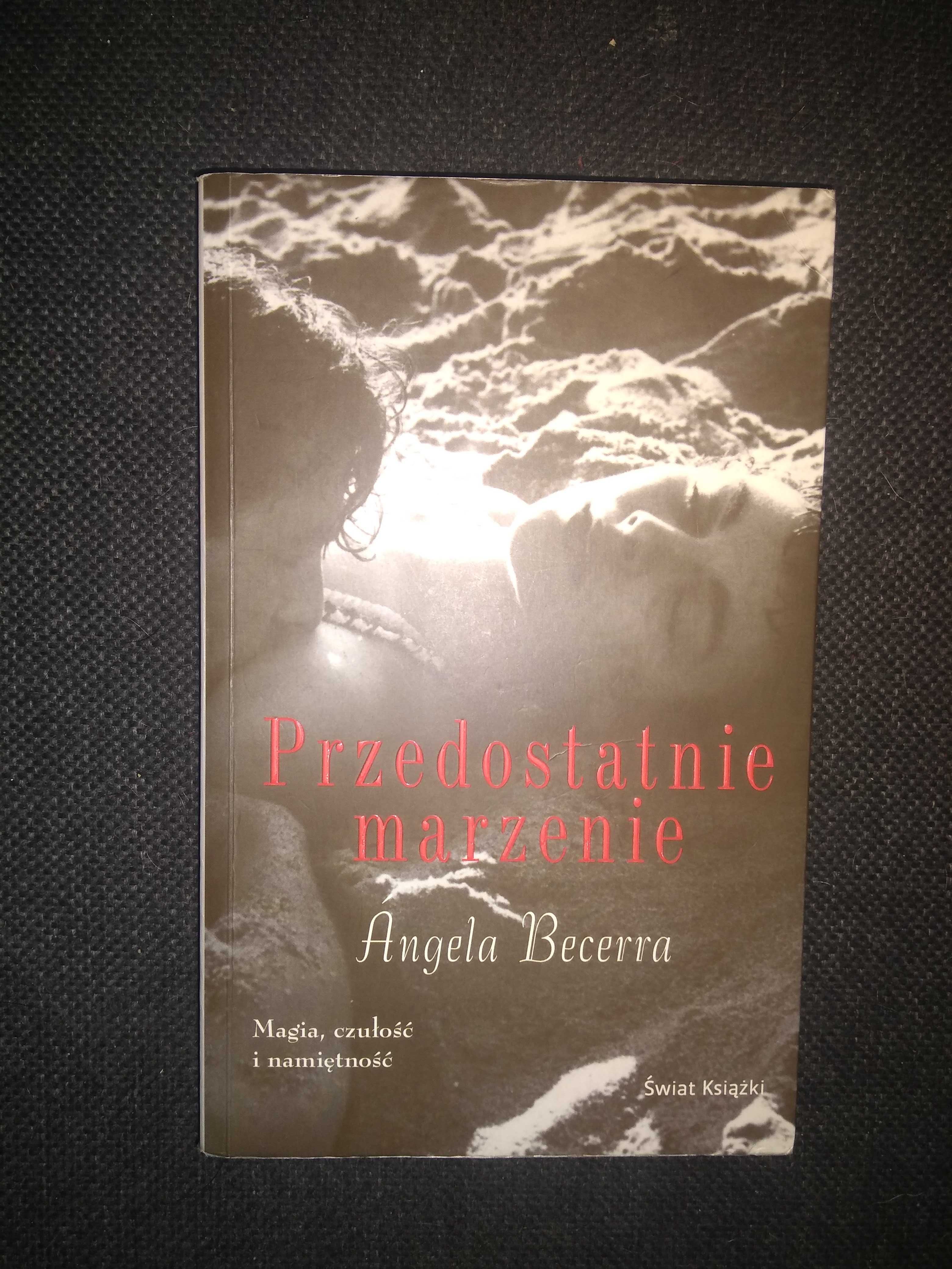 Dobra książka - Przedostatnie marzenie Angela Becerra (H9)