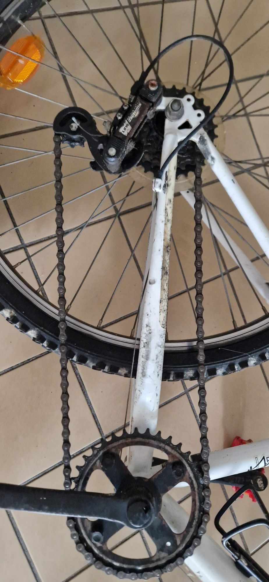 Bicicleta  adolescente