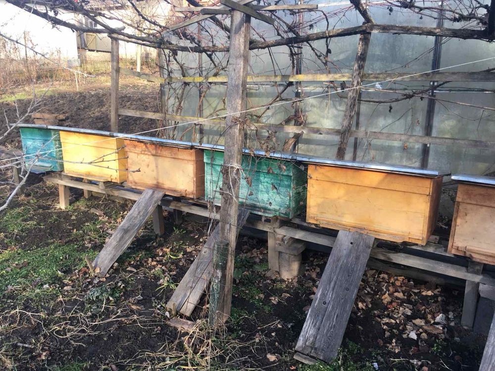 Продам пасічні вулики