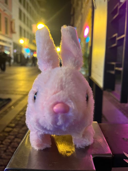 Chodzikowe Przytulaki