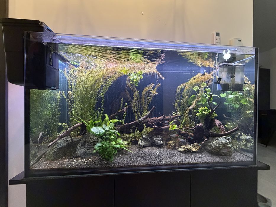 Akwarium 200l z szafa