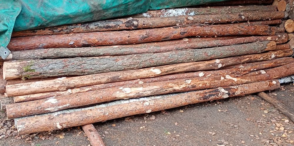 Stemple budowlane/słupki ogrodzeniowe