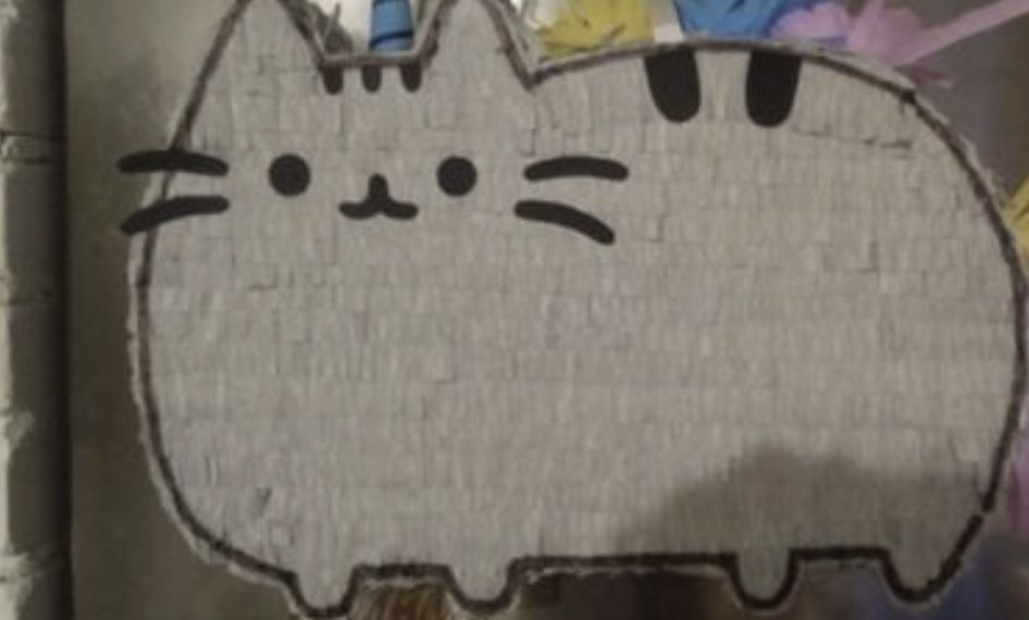 Kot pusheen urodziny