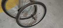 Rodas clássicas BTT WOLBER TITANIUN 26
