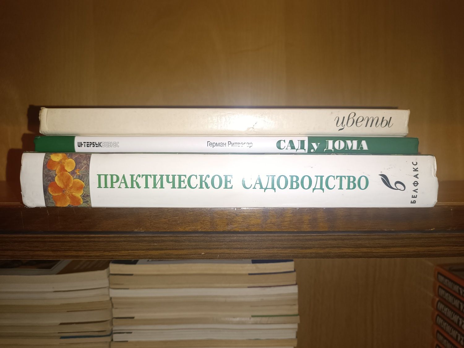 Практическое садоводство. Питер Мак- Хой. Сад у дома. Цветы