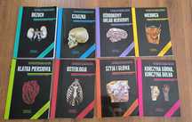 Anatomia prawidłowa Skawiny