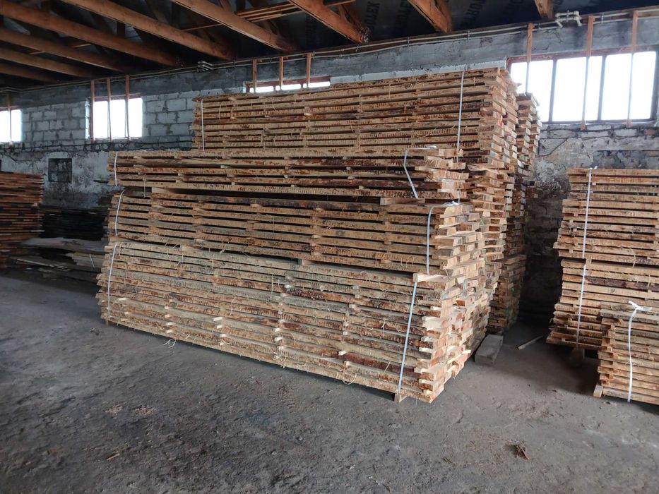 Sosna sucha nieobrzynana