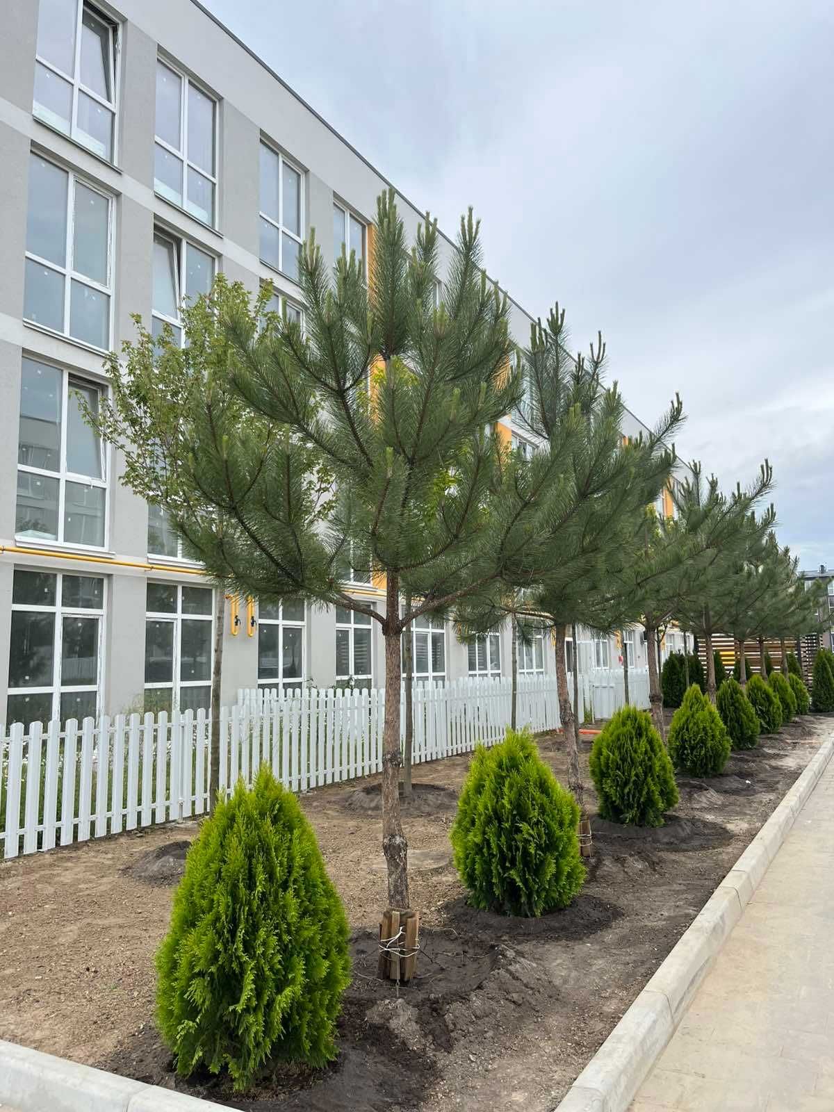 Продаж 2к квартири 48м2 з великим двором 37,5м2 від забудовника!