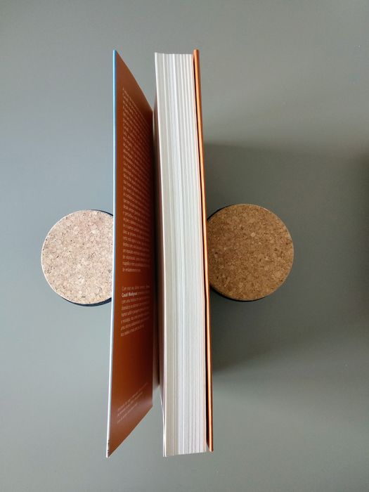 Livro "Qualquer Coisa de Bom" de Sveva Casati Modignani