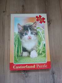 Puzzle Castorland kot