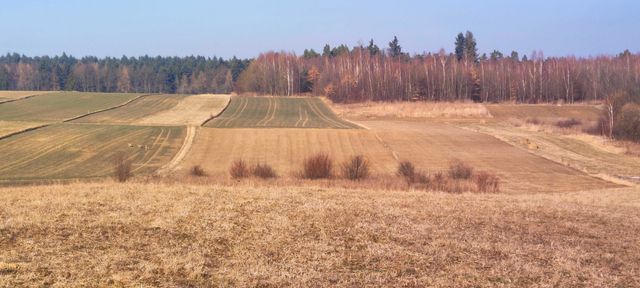 Działka siedliskowa w miejscowości Skała. Sielsko i anielsko...