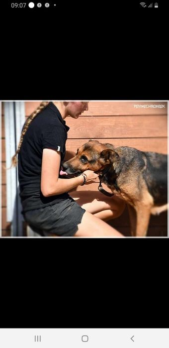 Sunia -  lek na całe zło