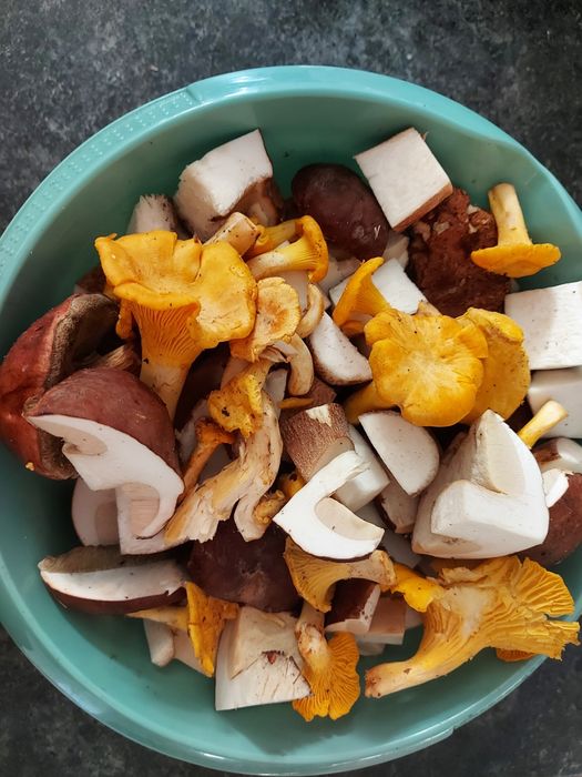 10x315 ml grzyby mieszane marynowane borowiki kurki podgrzybki