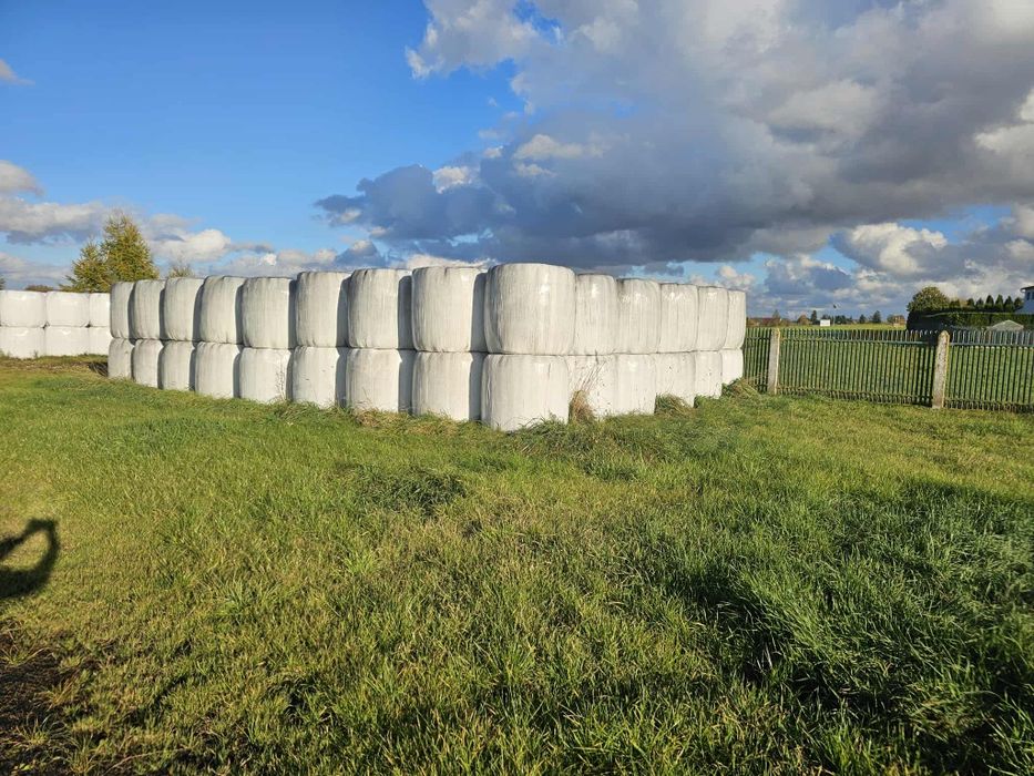 Baloty sianokiszonki