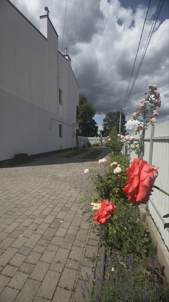 Котедж Солонка від власника