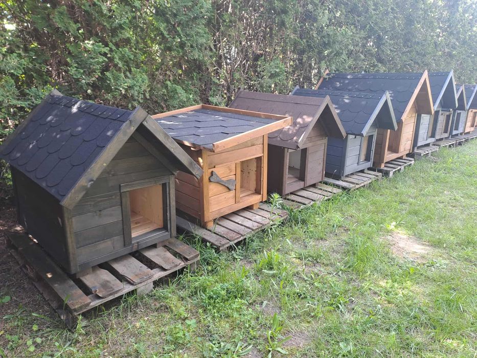 Budy dla Twojego pupila duży wybór zapraszamy