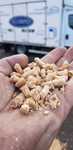 Pellet/Pelet sosnowy Jasny trocina stolarska