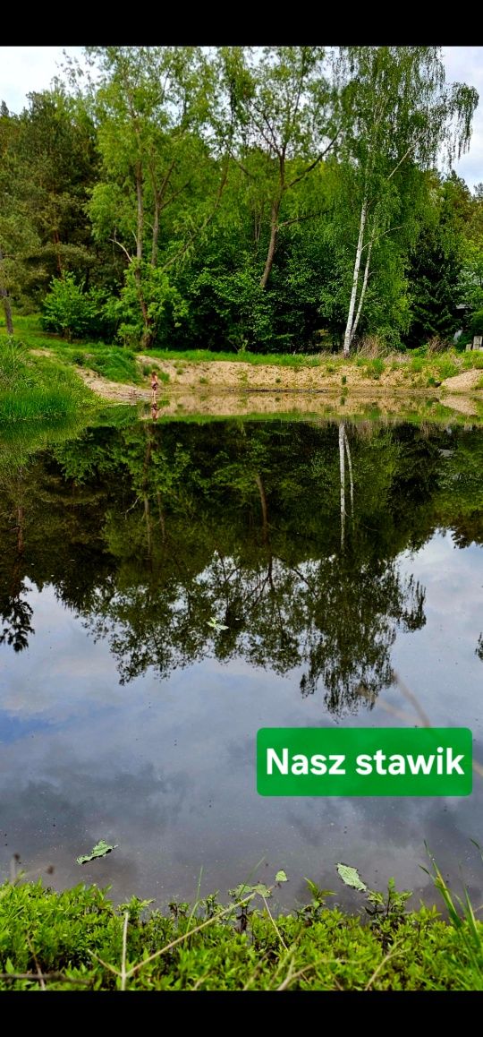 Domek na Mazurach +Sauna+ Jacuzzi+ Beczka