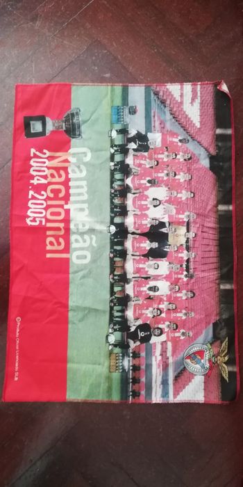 Cachecol e pano Benfica Campeão 2004