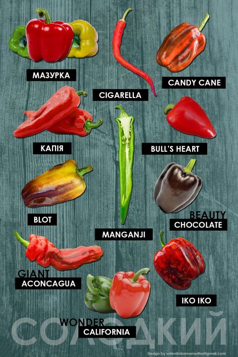 Семена острых перцев насіння гострого перцю Carolina 7Pot Aji Naga