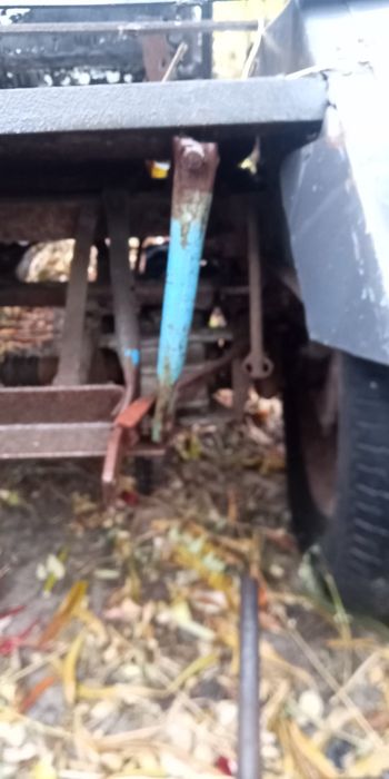 Продаи муравей вробочобустои