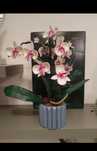 Lego kwiat orchidea