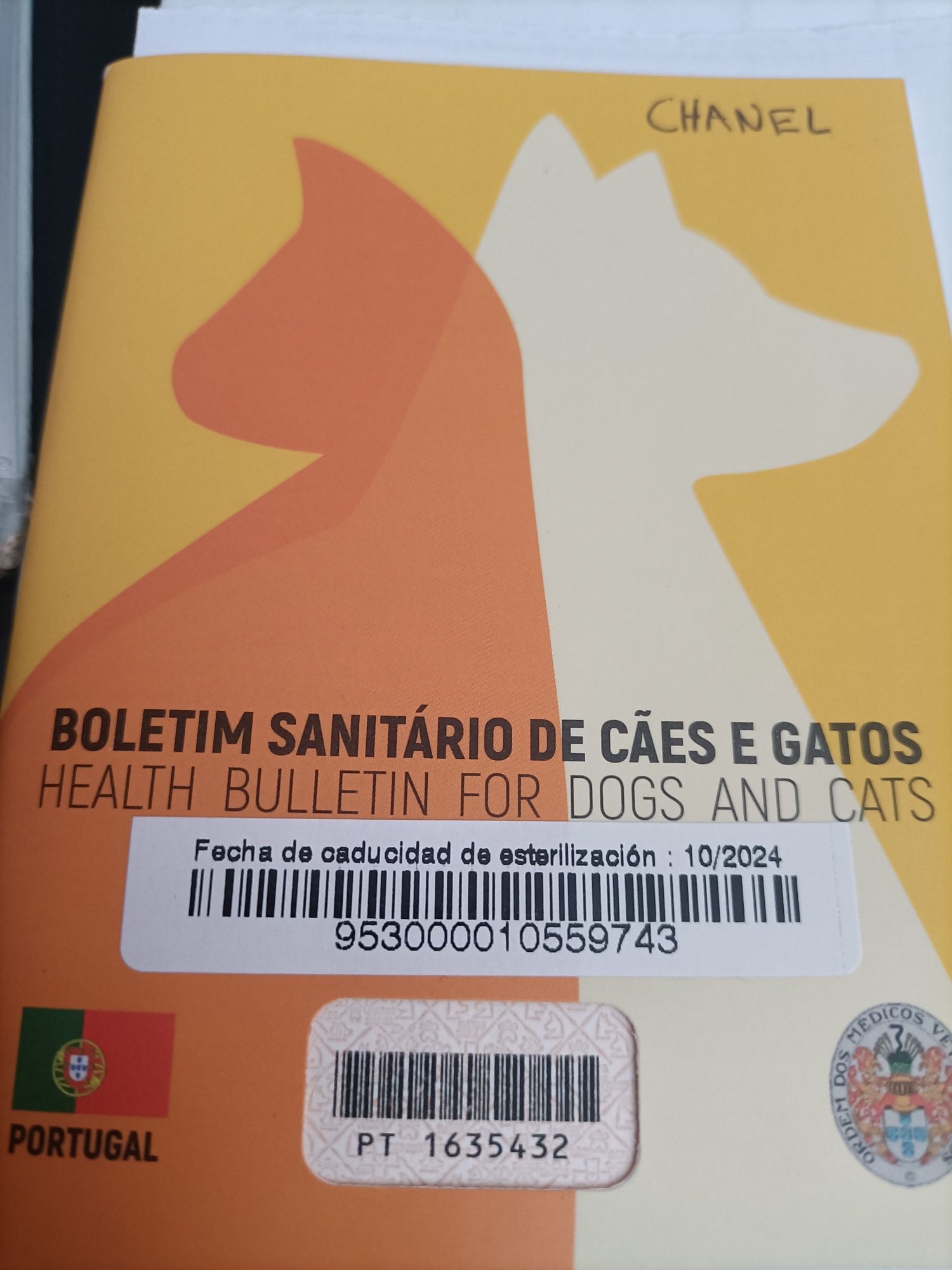 Cachorro shit-tzu