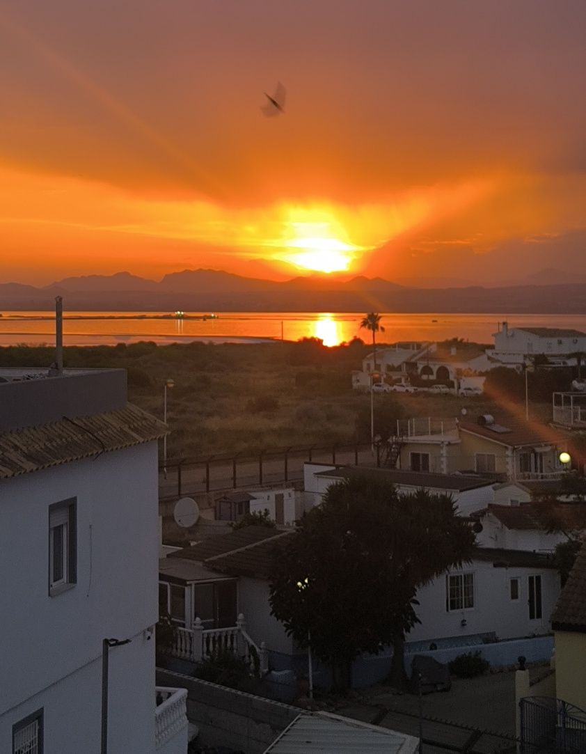 Hiszpania Alicante Dom na wynajem plaża, basen, słone jezioro