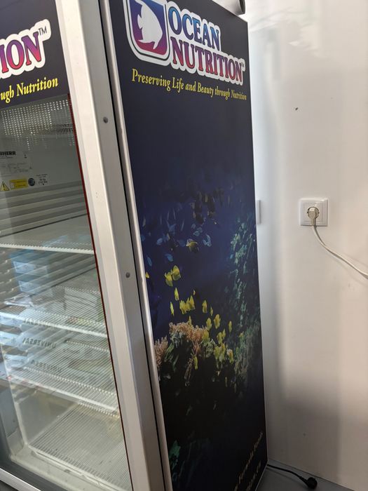 Arca Congeladora Vidro Frontal