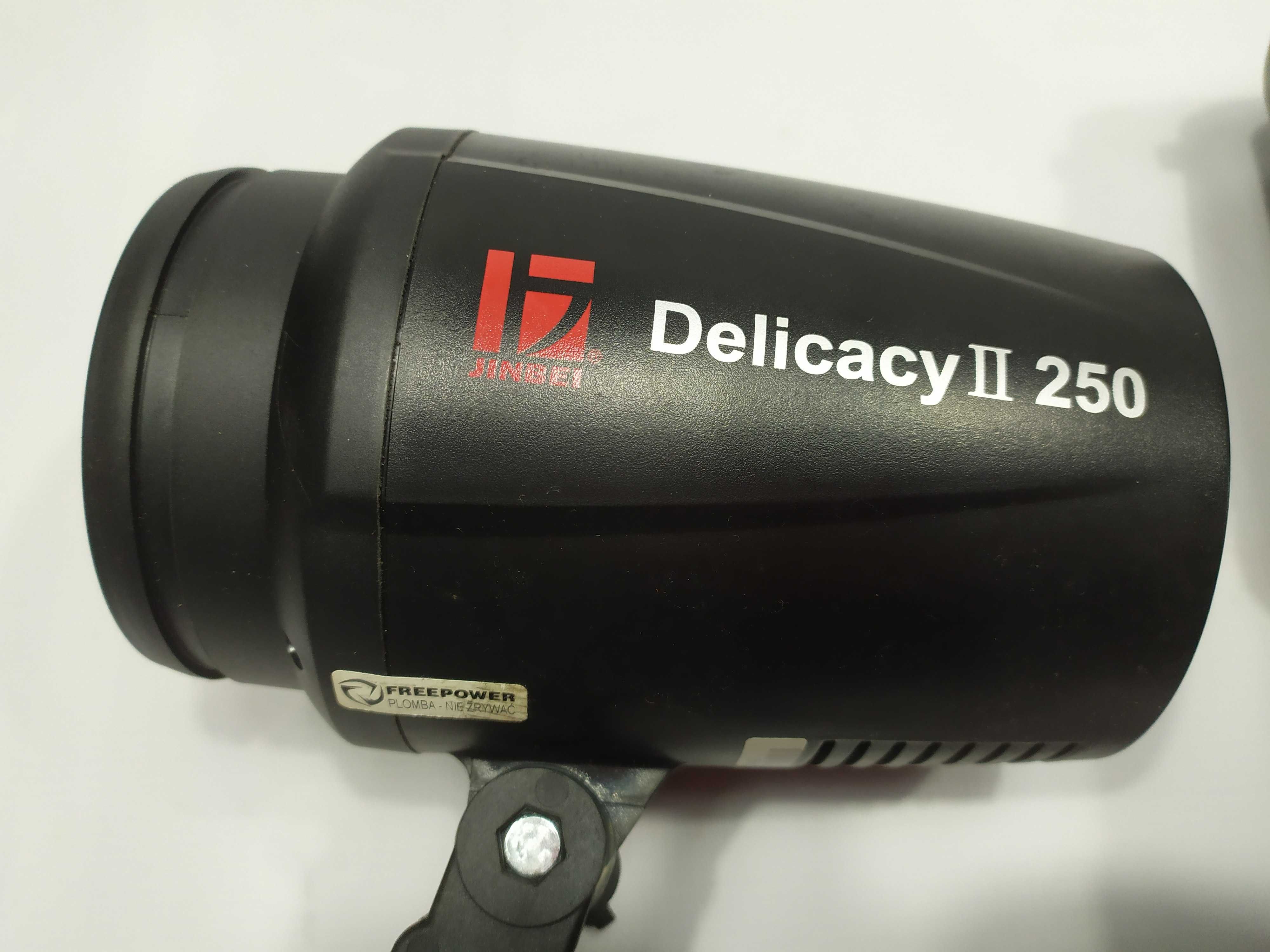 Lampy studyjne Delicacy II 250