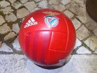 Bola da adidas  / Benfica.