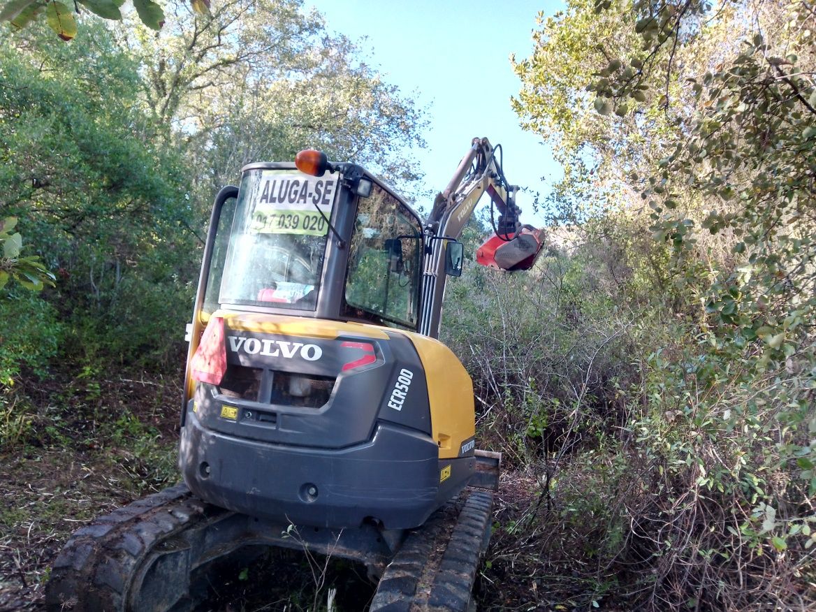 Escavações, limpeza de terrenos, Bobcat, giratória