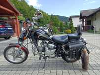 chopper łoś ranger 50/80 motorower