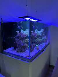 Akwarium morskie 360 l