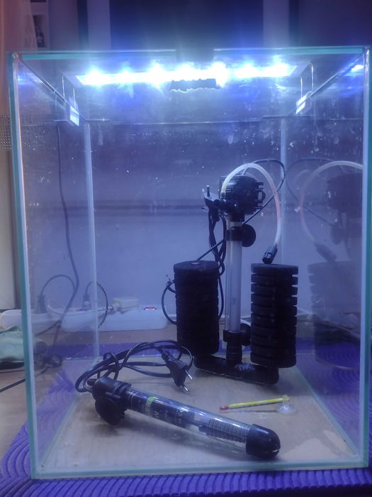 Zestaw Akwarium AquaEl z wyposażeniem