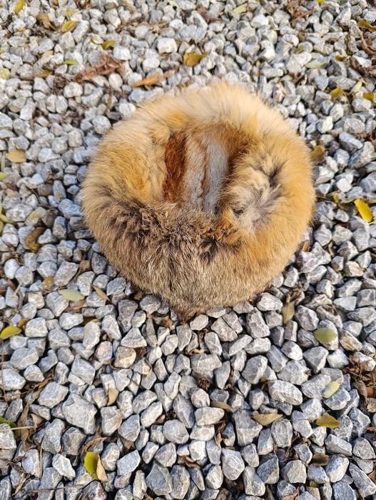 czapka z lisa naturalnego