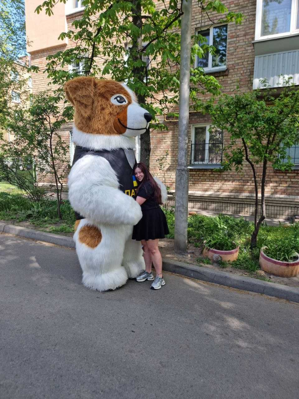 Білий ведмедик привітання Джиммі Київ