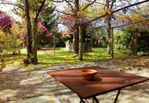 Quinta com Alojamento turístico - Famalicão - 3000m2 area