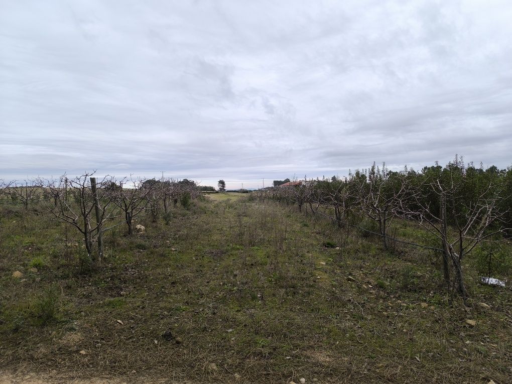 Terreno 8400m2,  com ruina granito, Catrão, Vale de Prazeres