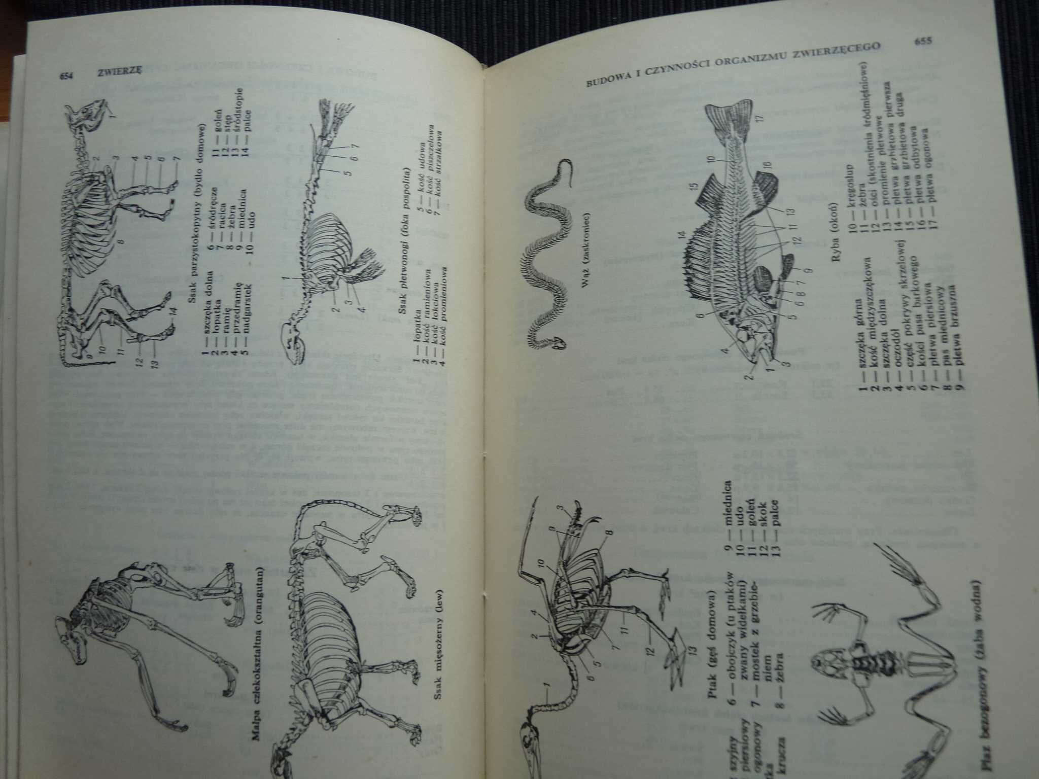 Mała Encyklopedia Przyrodnicza PWN - 1962