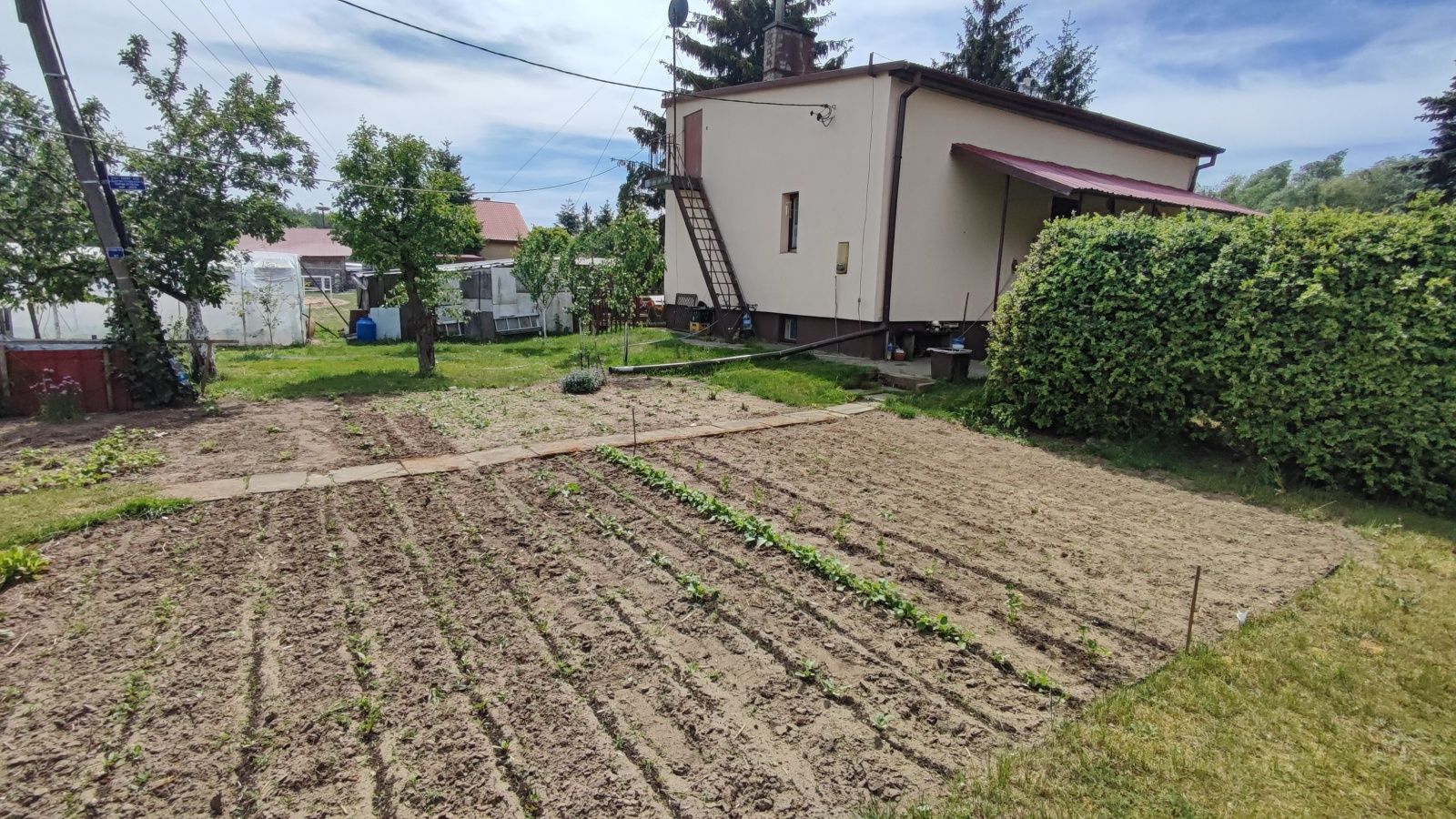 Dom Pęszyno gm. Bielsk 19 km od Płocka na działce 1460 m2