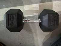 Dumbbel 22,5 kg Fittest
