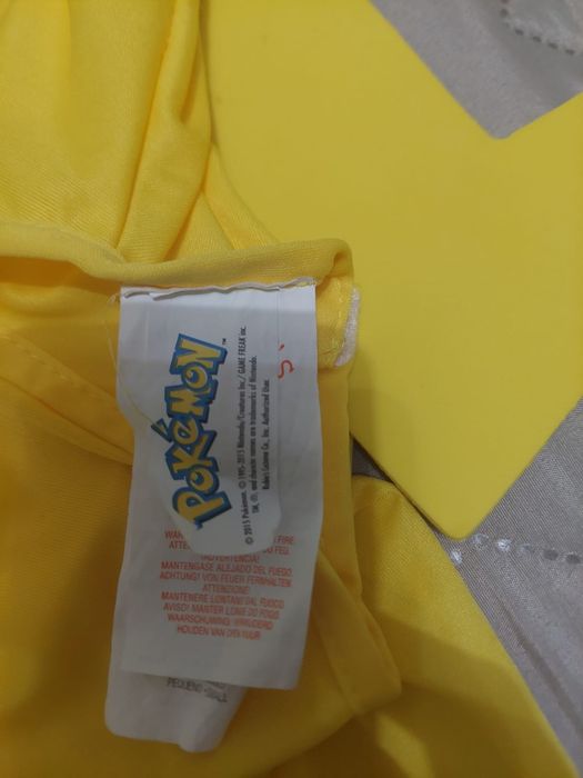 Fatos carnaval pokemon e tartaruga ninja