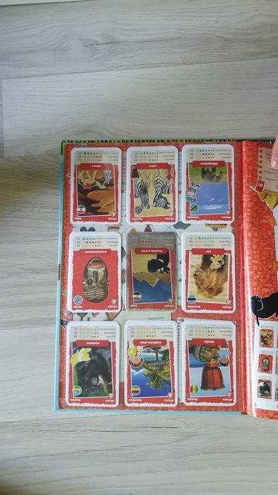 Album kolekcjonerski NETTO